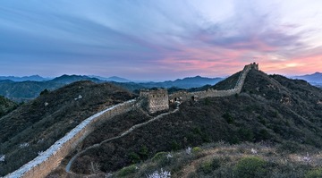 PRX_2469-2