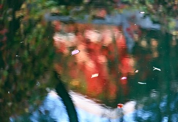 PRX_9858-1