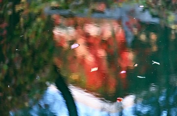 PRX_9858-2