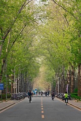 PRX_8507-混合-2
