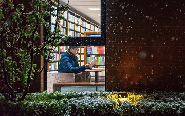 雪夜读书人