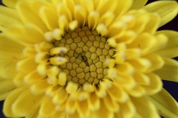 IMG_3969.JPG