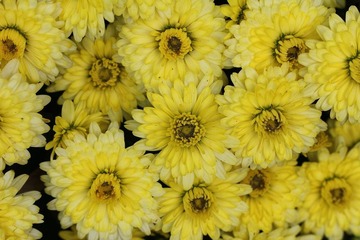 IMG_3974.JPG