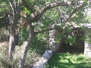 DSCF8749.JPG