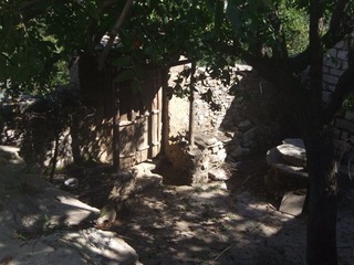 DSCF8755.JPG