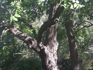 DSCF8763.JPG