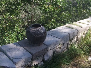 DSCF8776.JPG