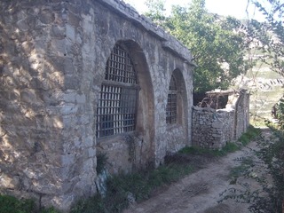 DSCF8777.JPG
