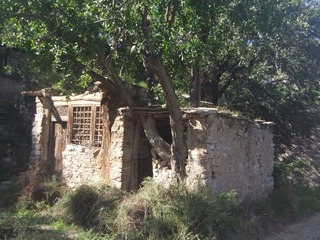 DSCF8779.JPG