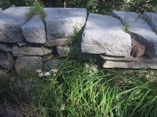 DSCF8781.JPG