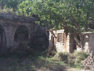 DSCF8784.JPG
