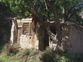 DSCF8738.JPG