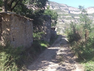 DSCF8739.JPG