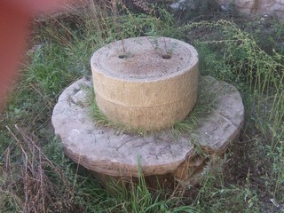 DSCF8741.JPG