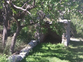 DSCF8744.JPG
