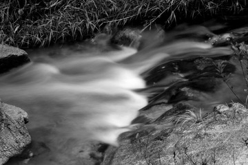 IMG_4117.JPG