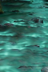 IMG_4120.JPG