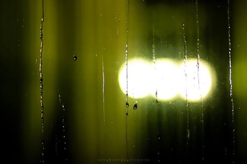 IMG_9449.jpg