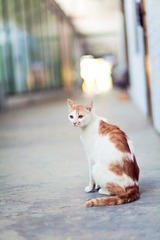 IMG_3815.jpg