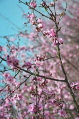 DSC_1300.JPG