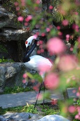 DSC_2611.JPG