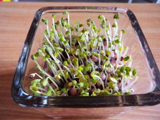 DSC00115.jpg