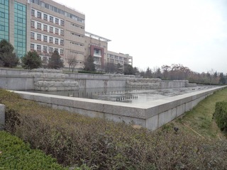 DSC00976.JPG