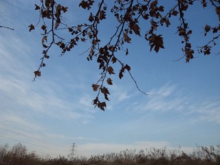 DSC00981.JPG