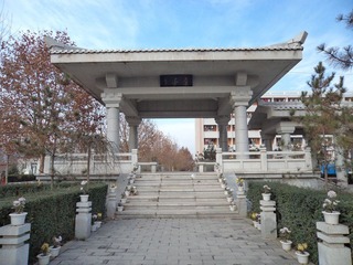 DSC00982.JPG