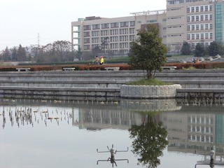 DSC00986.JPG