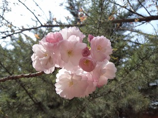 DSC02096.JPG