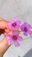 IMAG0166.jpg