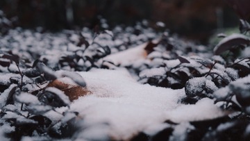 C1D6B3DF-3968-408B-A592-A9895B815F23/L0/001
