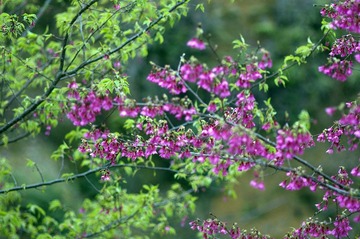 DSC_0048.jpg