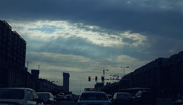 IMG_18255.jpg