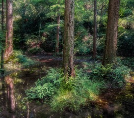 _IMG1318-HDR