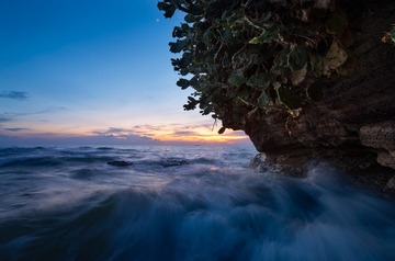 _IMG1477