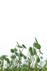 2012478