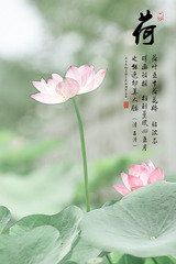 荷