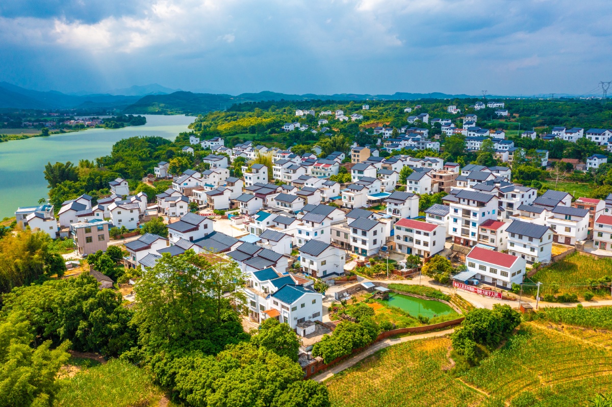 广西百色市右江区四塘镇桂明村大梅屯