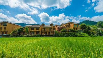 _JIA0436