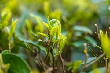 P1000599_1