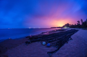 _JIA4291