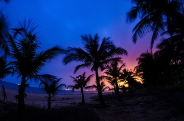 _JIA4293