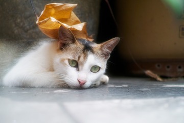 01