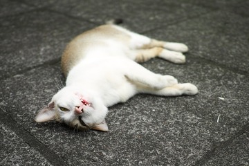 02