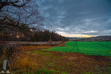 _MG_9954-5
