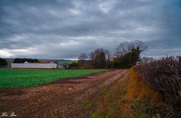 _MG_9970-1