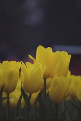 F49AE4F3-B3FE-4987-8F48-298AB21D66DF/L0/001