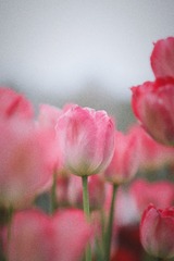 033578CE-5B6F-4480-B3A7-1C0C77DBFE64/L0/001